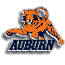aubullet.gif (1136 bytes)